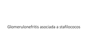 Glomerulonefritis asociada a stafilococos
 