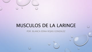 MUSCULOS DE LA LARINGE
POR: BLANCA EDNA ROJAS GONZALEZ
 