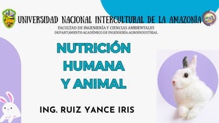UNIVERSIDAD NACIONAL INTERCULTURAL DE LA AMAZONÍA
NUTRICIÓN
HUMANA
Y ANIMAL
NUTRICIÓN
HUMANA
Y ANIMAL
ING. RUIZ YANCE IRIS
 