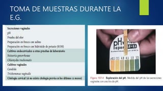 TOMA DE MUESTRAS DURANTE LA
E.G.
 