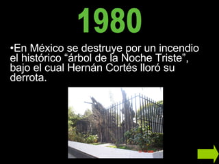 En  México  se destruye por un incendio el histórico “árbol de la Noche Triste”, bajo el cual Hernán Cortés lloró su derrota. 1980 