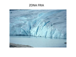 ZONA FRIA
 