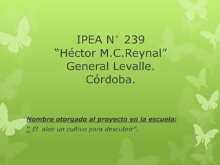 IPEA N° 239 
“Héctor M.C.Reynal” 
General Levalle. 
Córdoba. 
Nombre otorgado al proyecto en la escuela: 
“ El aloe un cultivo para descubrir”. 
 