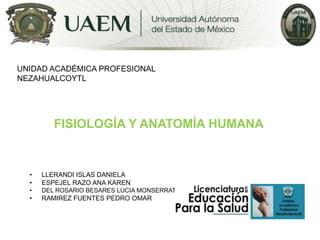 UNIDAD ACADÉMICA PROFESIONAL
NEZAHUALCOYTL

FISIOLOGÍA Y ANATOMÍA HUMANA

•
•

LLERANDI ISLAS DANIELA
ESPEJEL RAZO ANA KAREN

•

DEL ROSARIO BESARES LUCIA MONSERRAT

•

RAMIREZ FUENTES PEDRO OMAR

 