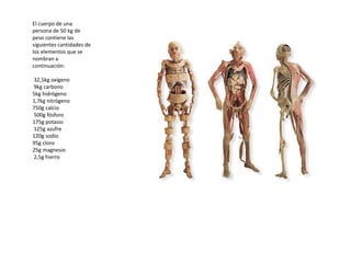 El cuerpo de una
persona de 50 kg de
peso contiene las
siguientes cantidades de
los elementos que se
nombran a
continuación:

32,5kg oxígeno
9kg carbono
5kg hidrógeno
1,7kg nitrógeno
750g calcio
500g fósforo
175g potasio
125g azufre
120g sodio
95g cloro
25g magnesio
2,5g hierro
 