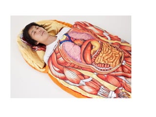 Presentación1  anatomia humana