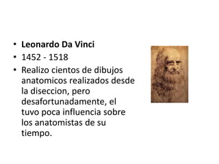 • Leonardo Da Vinci
• 1452 - 1518
• Realizo cientos de dibujos
  anatomicos realizados desde
  la diseccion, pero
  desafortunadamente, el
  tuvo poca influencia sobre
  los anatomistas de su
  tiempo.
 