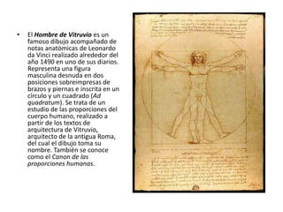 •   El Hombre de Vitruvio es un
    famoso dibujo acompañado de
    notas anatómicas de Leonardo
    da Vinci realizado alrededor del
    año 1490 en uno de sus diarios.
    Representa una figura
    masculina desnuda en dos
    posiciones sobreimpresas de
    brazos y piernas e inscrita en un
    círculo y un cuadrado (Ad
    quadratum). Se trata de un
    estudio de las proporciones del
    cuerpo humano, realizado a
    partir de los textos de
    arquitectura de Vitruvio,
    arquitecto de la antigua Roma,
    del cual el dibujo toma su
    nombre. También se conoce
    como el Canon de las
    proporciones humanas.
 