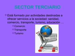 SECTOR TERCIARIO
 Está formado por actividades destinadas a
  ofrecer servicios a la sociedad: sanidad,
  comercio, transporte, turismo, educación …
     Comercio
     Transporte
     Turismo
 