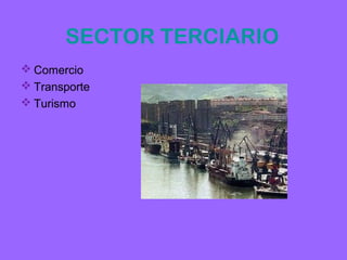 SECTOR TERCIARIO
 Comercio
 Transporte
 Turismo
 