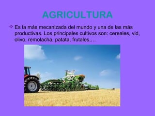AGRICULTURA
 Es la más mecanizada del mundo y una de las más
  productivas. Los principales cultivos son: cereales, vid,
  olivo, remolacha, patata, frutales,…
 