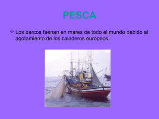 PESCA
 Los barcos faenan en mares de todo el mundo debido al
  agotamiento de los caladeros europeos.
 