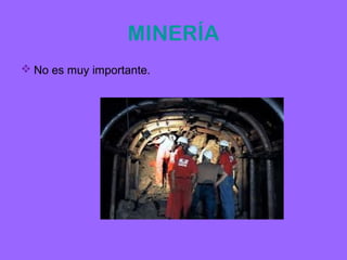 MINERÍA
 No es muy importante.
 