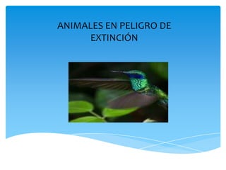 ANIMALES EN PELIGRO DE
EXTINCIÓN
 