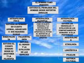 El hombre como personaEstudia el problema del hombre desde distintos ángulosAntropología físicaAntropología filosóficaAntropología  culturalEstudia al hombre como un sujeto personal y lo estudia en su globalización su  apertura al futuro su, sentido de la vida humano y su libertadEstudia los originales  y evolución de los comportamientos humanos  a ella pertenecenEstudia al hombre en cuanto animal, abarcando  dos grandes ramassomatologíapaleontologíaArqueologíaEstudia el cuerpo humano desde su anatomía y la filosofíaEstudia el origen y la evolución de las especiesetnologíaLingüísticafolklorHistoria cultural
