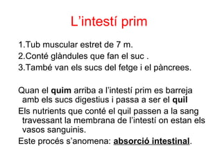 L’intestí prim
1.Tub muscular estret de 7 m.
2.Conté glàndules que fan el suc .
3.També van els sucs del fetge i el pàncrees.
Quan el quim arriba a l’intestí prim es barreja
amb els sucs digestius i passa a ser el quil
Els nutrients que conté el quil passen a la sang
travessant la membrana de l’intestí on estan els
vasos sanguinis.
Este procés s’anomena: absorció intestinal.
 