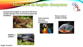 La fauna de la región es una de la más rica y
variada del país. Hay una inmensa gama de
mamíferos
Reptiles y
anfibios
Aves como la
hermosa
guacamaya
Peces como el
temible caribito
 