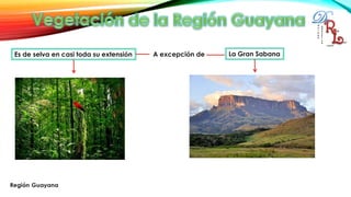 Es de selva en casi toda su extensión A excepción de La Gran Sabana
 
