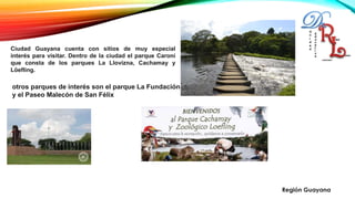 Ciudad Guayana cuenta con sitios de muy especial
interés para visitar. Dentro de la ciudad el parque Caroní
que consta de los parques La Llovizna, Cachamay y
Löefling.
otros parques de interés son el parque La Fundación
y el Paseo Malecón de San Félix
Región Guayana.
 