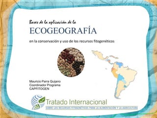 Bases de la aplicación de la

ECOGEOGRAFÍA
en la conservación y uso de los recursos fitogenéticos

Mauricio Parra Quijano
Coordinador Programa
CAPFITOGEN

 