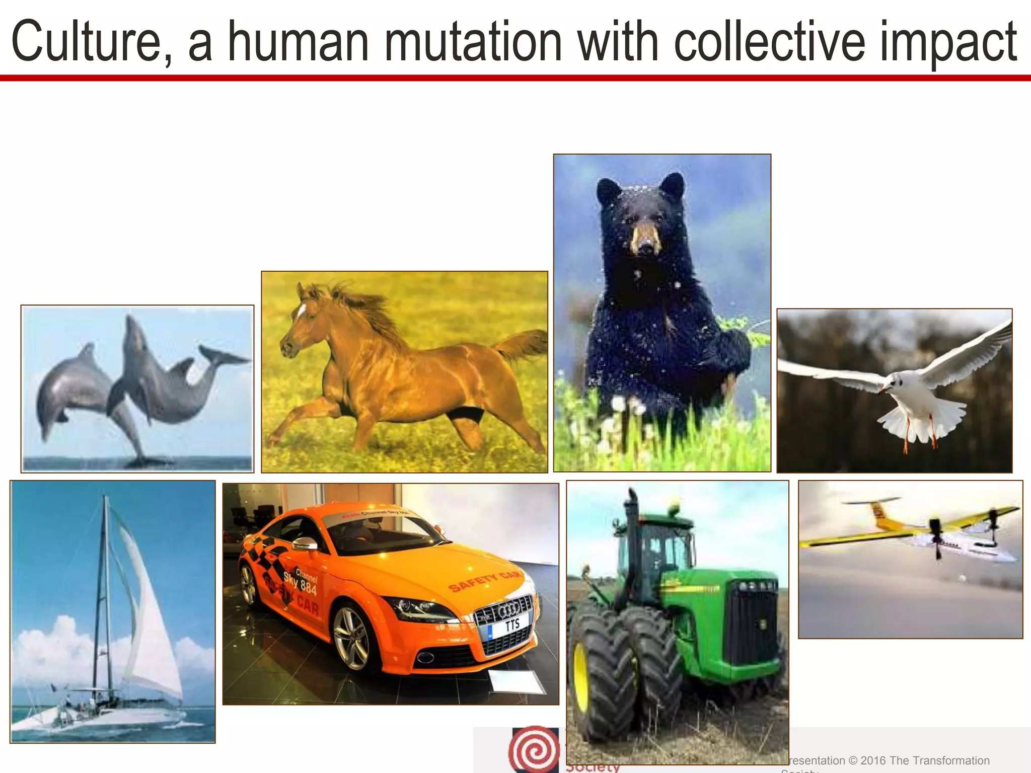 Presentation © 2016 The Transformation
Culture, a human mutation with collective impact
 