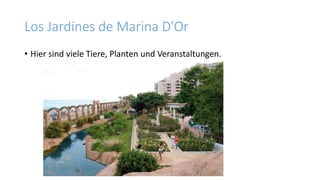 Los Jardines de Marina D’Or
• Hier sind viele Tiere, Planten und Veranstaltungen.
 