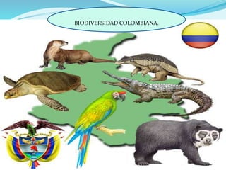 BIODIVERSIDAD COLOMBIANA. 
 