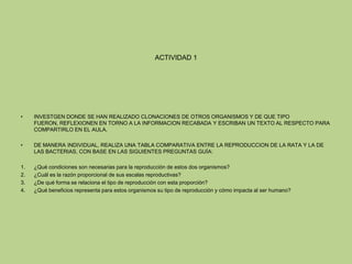ACTIVIDAD 1
• INVESTGEN DONDE SE HAN REALIZADO CLONACIONES DE OTROS ORGANISMOS Y DE QUE TIPO
FUERON, REFLEXIONEN EN TORNO A LA INFORMACION RECABADA Y ESCRIBAN UN TEXTO AL RESPECTO PARA
COMPARTIRLO EN EL AULA.
• DE MANERA INDIVIDUAL, REALIZA UNA TABLA COMPARATIVA ENTRE LA REPRODUCCION DE LA RATA Y LA DE
LAS BACTERIAS, CON BASE EN LAS SIGUIENTES PREGUNTAS GUÍA:
1. ¿Qué condiciones son necesarias para la reproducción de estos dos organismos?
2. ¿Cuál es la razón proporcional de sus escalas reproductivas?
3. ¿De qué forma se relaciona el tipo de reproducción con esta proporción?
4. ¿Qué beneficios representa para estos organismos su tipo de reproducción y cómo impacta al ser humano?
 