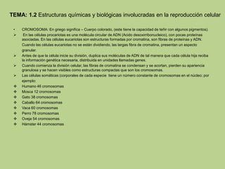 TEMA: 1.2 Estructuras químicas y biológicas involucradas en la reproducción celular
• CROMOSOMA: En griego significa – Cuerpo colorado, (este tiene la capacidad de teñir con algunos pigmentos).
 En las células procariotas es una molécula circular de ADN (Acido desoxirribonucleico), con pocas proteínas
asociadas. En las células eucariotas son estructuras formadas por cromatina, son fibras de proteínas y ADN.
Cuando las células eucariotas no se están dividiendo, las largas fibra de cromatina, presentan un aspecto
granular.
 Antes de que la célula inicie su división, duplica sus moléculas de ADN de tal manera que cada célula hija reciba
la información genética necesaria, distribuida en unidades llamadas genes.
 Cuando comienza la división celular, las fibras de cromatina se condensan y se acortan, pierden su apariencia
granulosa y se hacen visibles como estructuras compactas que son los cromosomas.
 Las células somáticas (corporales de cada especie tiene un número constante de cromosomas en el núcleo; por
ejemplo:
 Humano 46 cromosomas
 Mosca 12 cromosomas
 Gato 38 cromosomas
 Caballo 64 cromosomas
 Vaca 60 cromosomas
 Perro 78 cromosomas
 Oveja 54 cromosomas
 Hámster 44 cromosomas
 