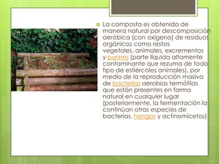    La composta es obtenida de
    manera natural por descomposición
    aeróbica (con oxígeno) de residuos
    orgánicos como restos
    vegetales, animales, excrementos
    y purines (parte líquida altamente
    contaminante que rezuma de todo
    tipo de estiércoles animales), por
    medio de la reproducción masiva
    de bacterias aerobias termófilas
    que están presentes en forma
    natural en cualquier lugar
    (posteriormente, la fermentación la
    continúan otras especies de
    bacterias, hongos y actinomicetos).
 