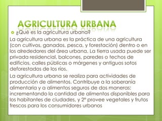   ¿Qué es la agricultura urbana?
La agricultura urbana es la práctica de una agricultura
(con cultivos, ganados, pesca, y forestación) dentro o en
los alrededores del área urbana. La tierra usada puede ser
privada residencial, balcones, paredes o techos de
edificios, calles públicas o márgenes y antiguos sotos
deforestados de los ríos.
La agricultura urbana se realiza para actividades de
producción de alimentos. Contribuye a la soberanía
alimentaria y a alimentos seguros de dos maneras:
incrementando la cantidad de alimentos disponibles para
los habitantes de ciudades, y 2º provee vegetales y frutos
frescos para los consumidores urbanos
 