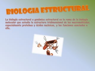 BIOLOGIA ESTRUCTURALLa biología estructural o genómica estructural es la rama de la biología molecular que estudia la estructura tridimensional de las macromoléculas, especialmente proteínas y ácidos nucleicos, y las funciones asociadas a ella.