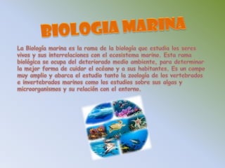 BIOLOGIA MARINALa Biología marina es la rama de la biología que estudia los seres vivos y sus interrelaciones con el ecosistema marino. Esta rama biológica se ocupa del deteriorado medio ambiente, para determinar la mejor forma de cuidar el océano y a sus habitantes. Es un campo muy amplio y abarca el estudio tanto la zoología de los vertebrados e invertebrados marinos como los estudios sobre sus algas y microorganismos y su relación con el entorno. 