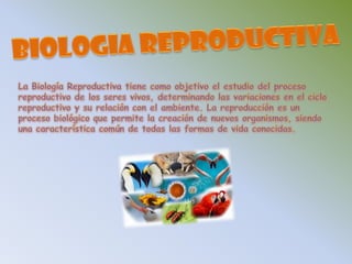 BIOLOGIA REPRODUCTIVALa Biología Reproductiva tiene como objetivo el estudio del proceso reproductivo de los seres vivos, determinando las variaciones en el ciclo reproductivo y su relación con el ambiente. La reproducción es un proceso biológico que permite la creación de nuevos organismos, siendo una característica común de todas las formas de vida conocidas.