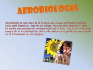 AEROBIOLOGIAAerobiología es una rama de la biología que estudia partículas orgánicas, tales como bacterias, esporas de hongos, insectos muy pequeños y polen, las cuales son pasivamente transportadas por el aire. Uno de los principalescampos de la Aerobiología ha sido el de contar estas partículas como ayuda en el tratamiento de los alérgicos.
