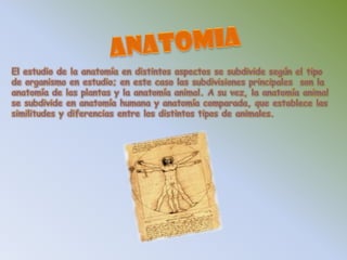 ANATOMIAEl estudio de la anatomía en distintos aspectos se subdivide según el tipo de organismo en estudio; en este caso las subdivisiones principales  son la anatomía de las plantas y la anatomía animal. A su vez, la anatomía animal se subdivide en anatomía humana y anatomía comparada, que establece las similitudes y diferencias entre los distintos tipos de animales. 