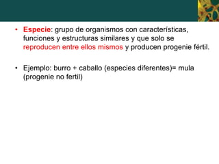 • Especie: grupo de organismos con características,
funciones y estructuras similares y que solo se
reproducen entre ellos mismos y producen progenie fértil.
• Ejemplo: burro + caballo (especies diferentes)= mula
(progenie no fertil)
 