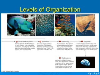 Levels of Organization
Fig. 1.2, p.5
 