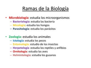 Ramas de la Biología
• Microbiología: estudia los microorganismos
– Bacteriología: estudia las bacteria
– Micología: estudia los hongos
– Parasitología: estudia los parásitos
• Zoologia: estudia los animales
– Ictología: estudia los peces
– Entomología: estudio de los insectos
– Herpetología :estudia los reptiles y anfibios
– Ornitología: estudia las aves
– Helmintología: estudia los gusanos
 