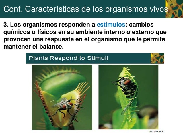 Presentación 1 capítulo 1