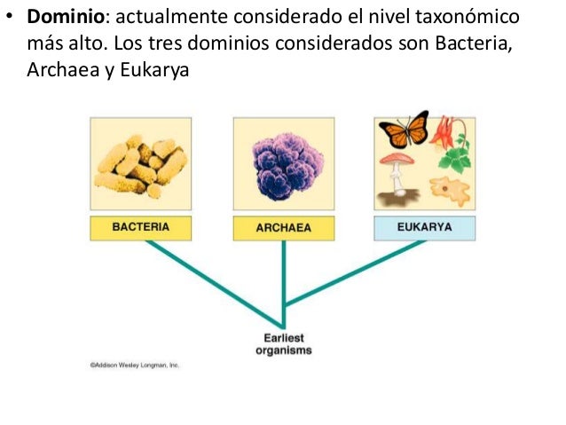 Presentación 1 capítulo 1
