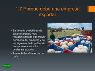 1.7 Porque debe una empresa
exportar

 Se tiene la posibilidad de
obtener precios más
rentables debido a la mayor
demanda del producto y de
los ingresos de la población
en los mercados a los
cuales se exporta.
 Aumenta las divisas de un
país.

 