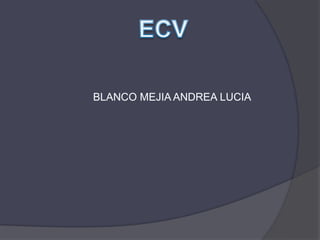 ECV BLANCO MEJIA ANDREA LUCIA  