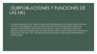 (SUBPOBLACIONES Y FUNCIONES DE
LAS NK)
• Las células asesinas o NK tiene la capacidad de diferenciar las células infectadas por
un virus o microrganismo como lo habíamos mencionado antes estas células son
capaces de identificar que células son propias y cuales son foráneas. Esto pasa
gracias a que los receptores de membrana de la célula asesina detectan la presencia
de las MHC de clase 1 en este tipo de células dañadas y receptores inhibidores en
células sanas.
 