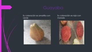 Guayaba
Su coloración es amarilla con
verde
Su coloración es roja con
morado
 