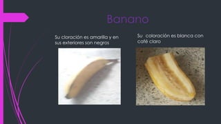 Banano
Su cloración es amarilla y en
sus exteriores son negros
Su coloración es blanca con
café claro
 
