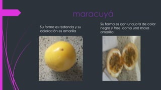 maracuyá
Su forma es redonda y su
coloración es amarilla
Su forma es con una jota de color
negro y trae como una masa
amarilla
 