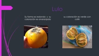 Lulo
Su forma es redonda y su
coloración es anaranjada
su coloración es verde con
café
 