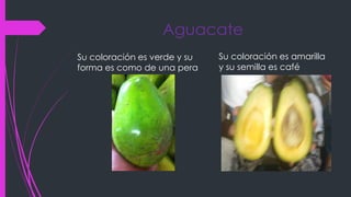 Aguacate
Su coloración es verde y su
forma es como de una pera
Su coloración es amarilla
y su semilla es café
 