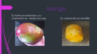 Mango
Su forma es redonda y su
coloración es verde con rojo Su coloración es amarilla
 